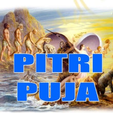 Load image into Gallery viewer, Pitri Paksha Puja Package

